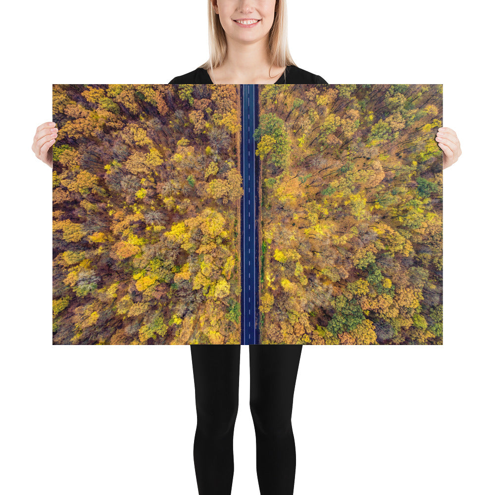 Fall Autumn Road Less Traveled Poster - Multiple Sizes wall art posters home decor office decor art gifts