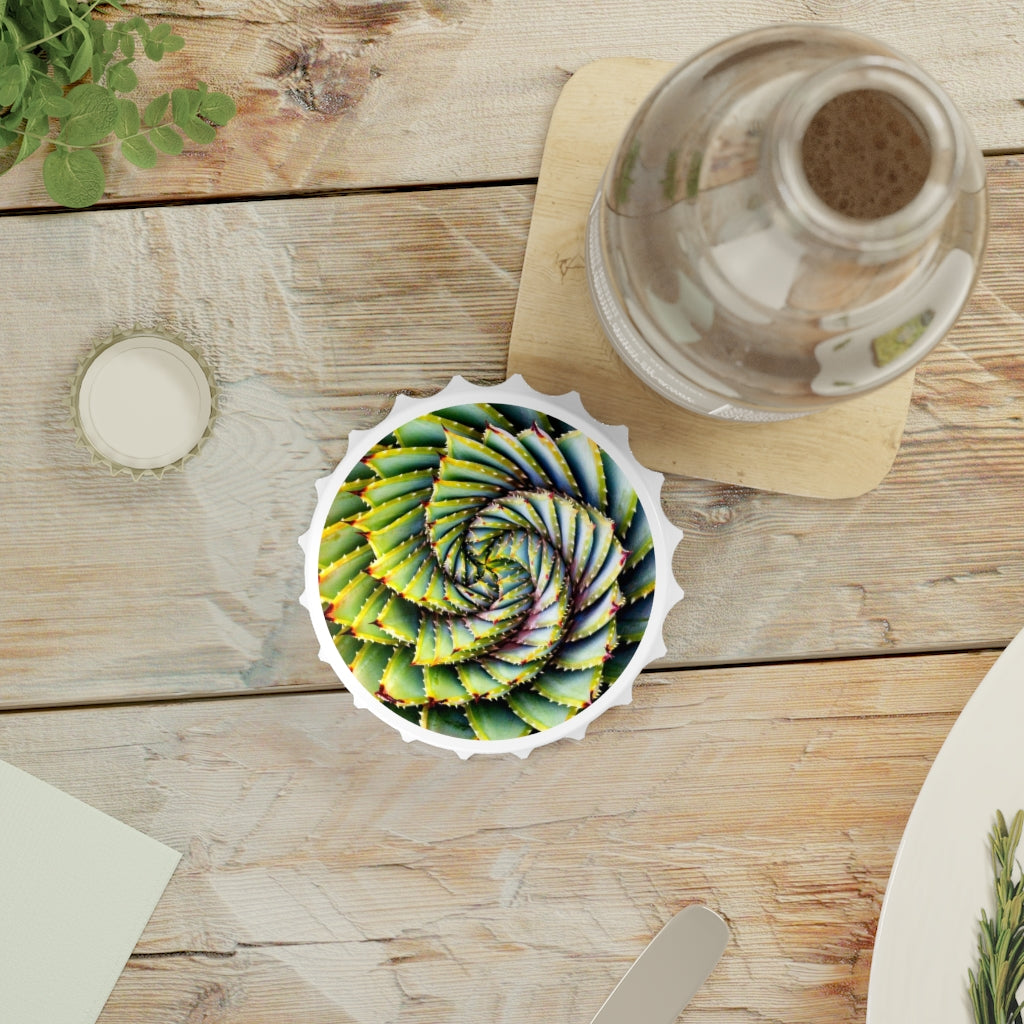 Succulent Spiral Bottle Opener