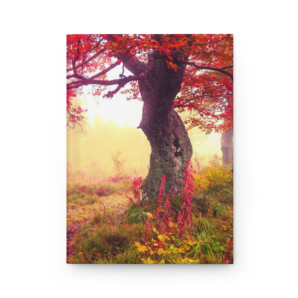 Fall Tree Notebook Hardcover Journal Matte