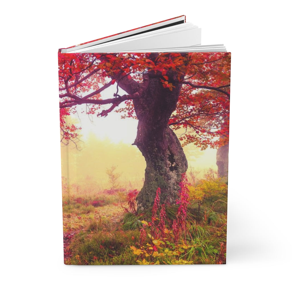 Fall Tree Notebook Hardcover Journal Matte