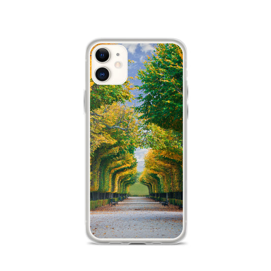 Fall Autumn Leaves Pathway iPhone Case