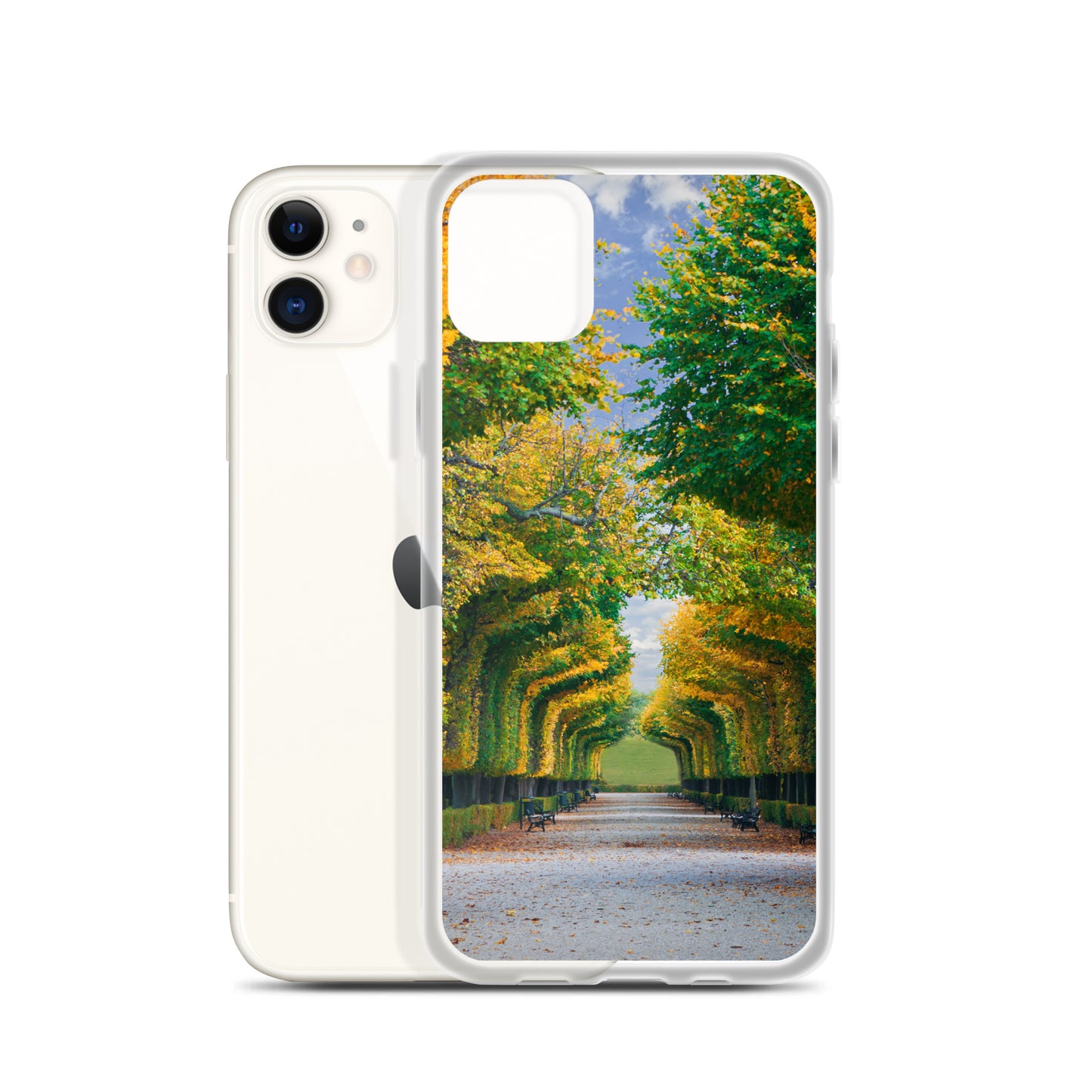 Fall Autumn Leaves Pathway iPhone Case