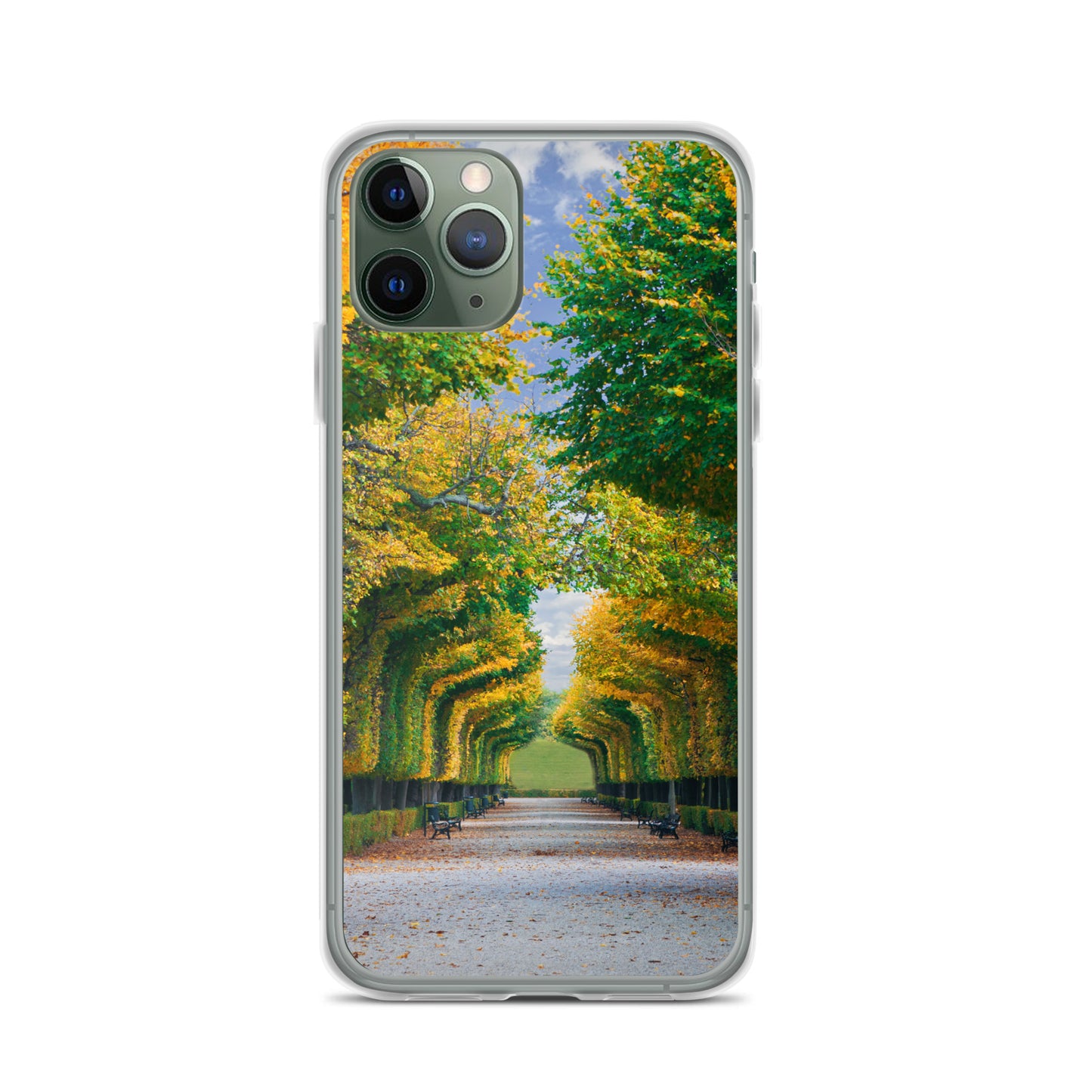 Fall Autumn Leaves Pathway iPhone Case