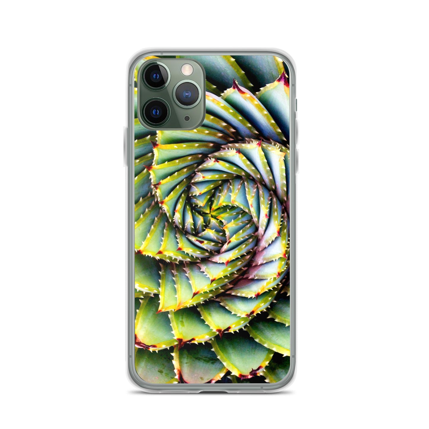 Spiral Succulent iPhone Case