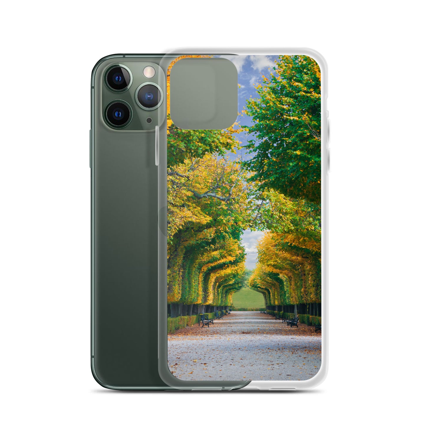 Fall Autumn Leaves Pathway iPhone Case