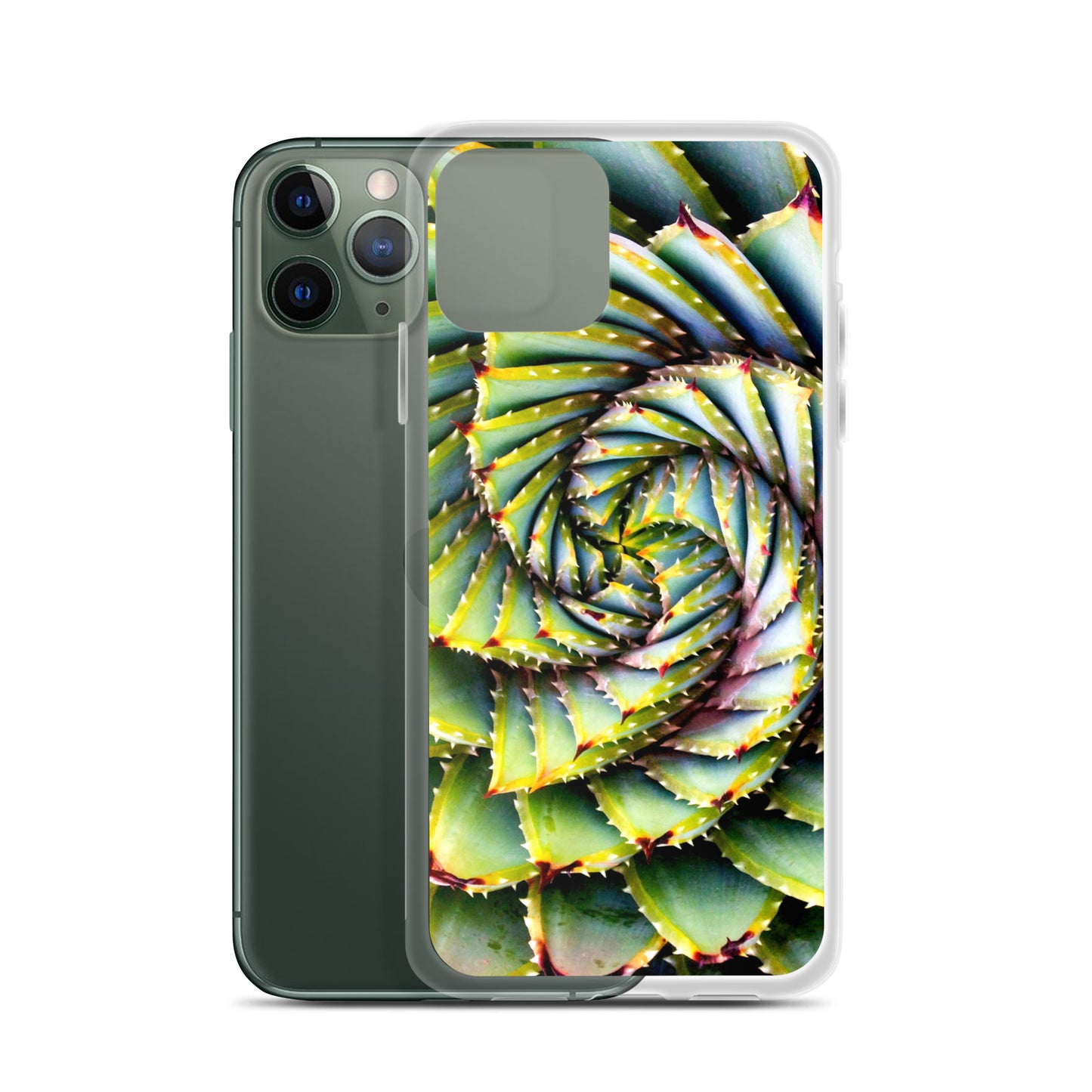 Spiral Succulent iPhone Case