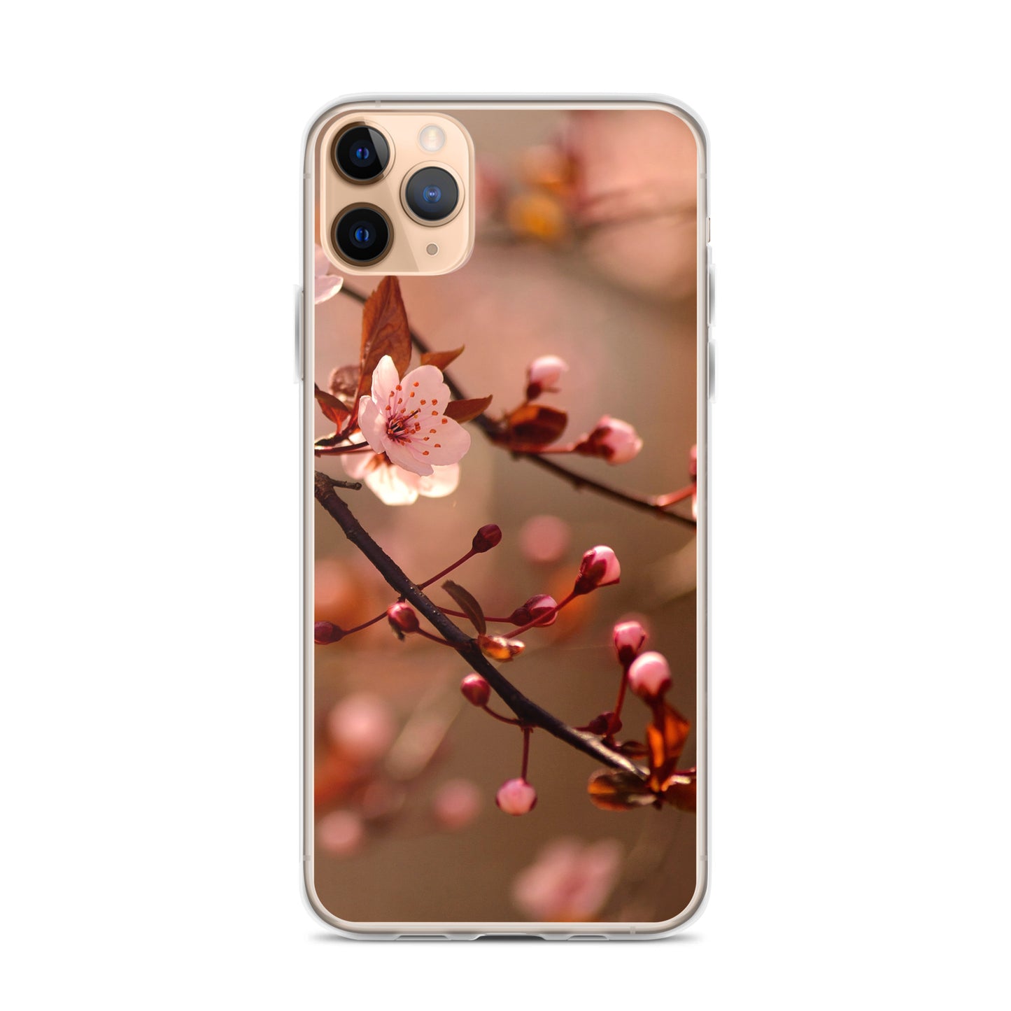 Cherry Blossoms iPhone Case