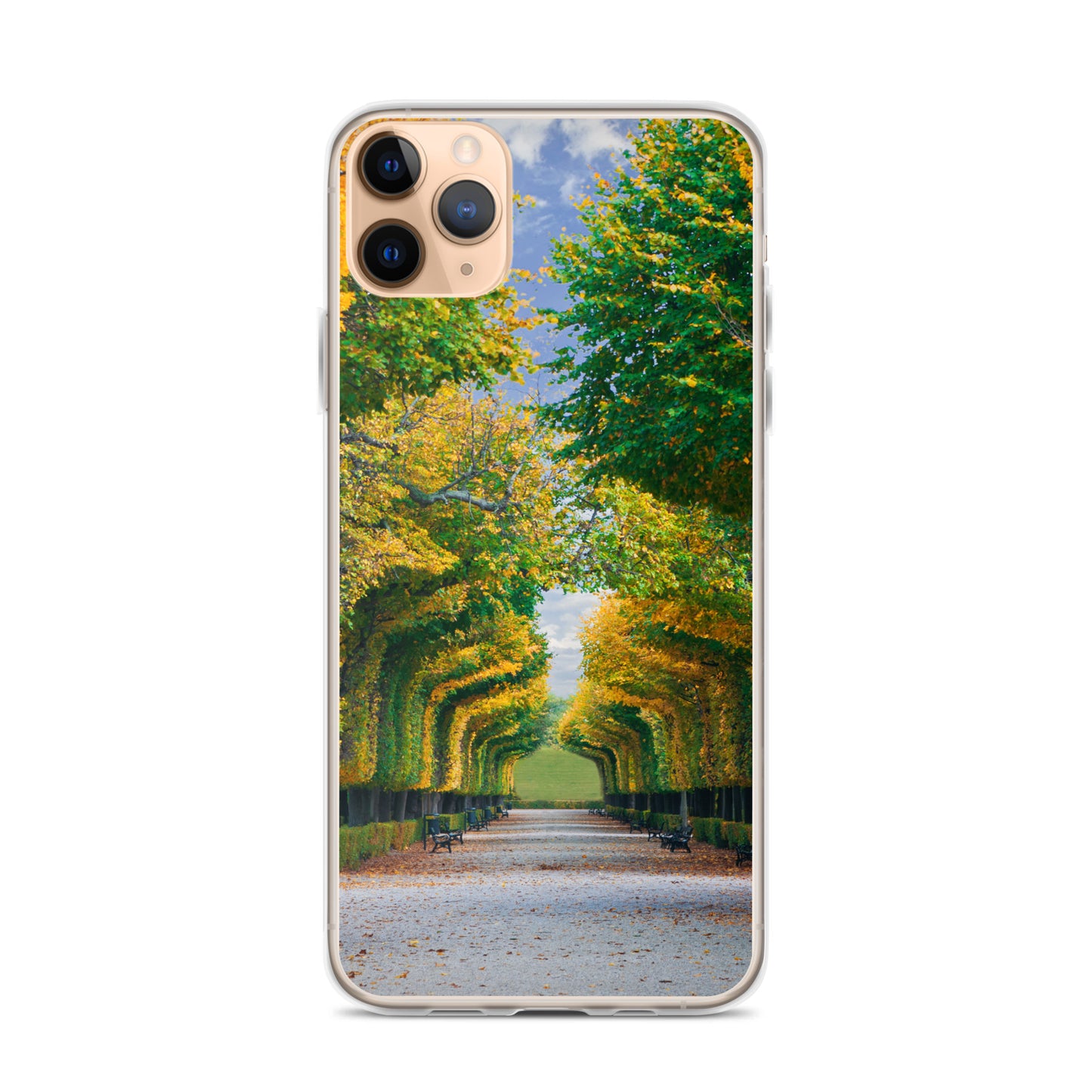 Fall Autumn Leaves Pathway iPhone Case