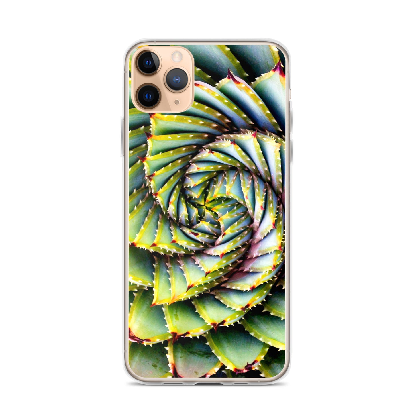 Spiral Succulent iPhone Case