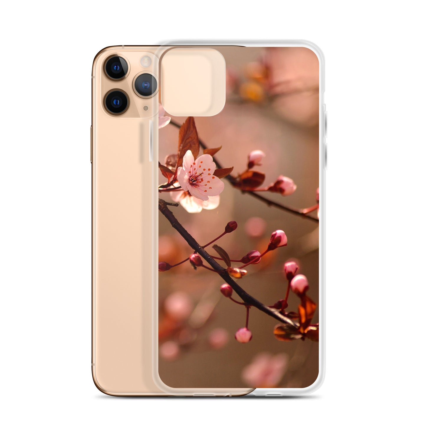 Cherry Blossoms iPhone Case