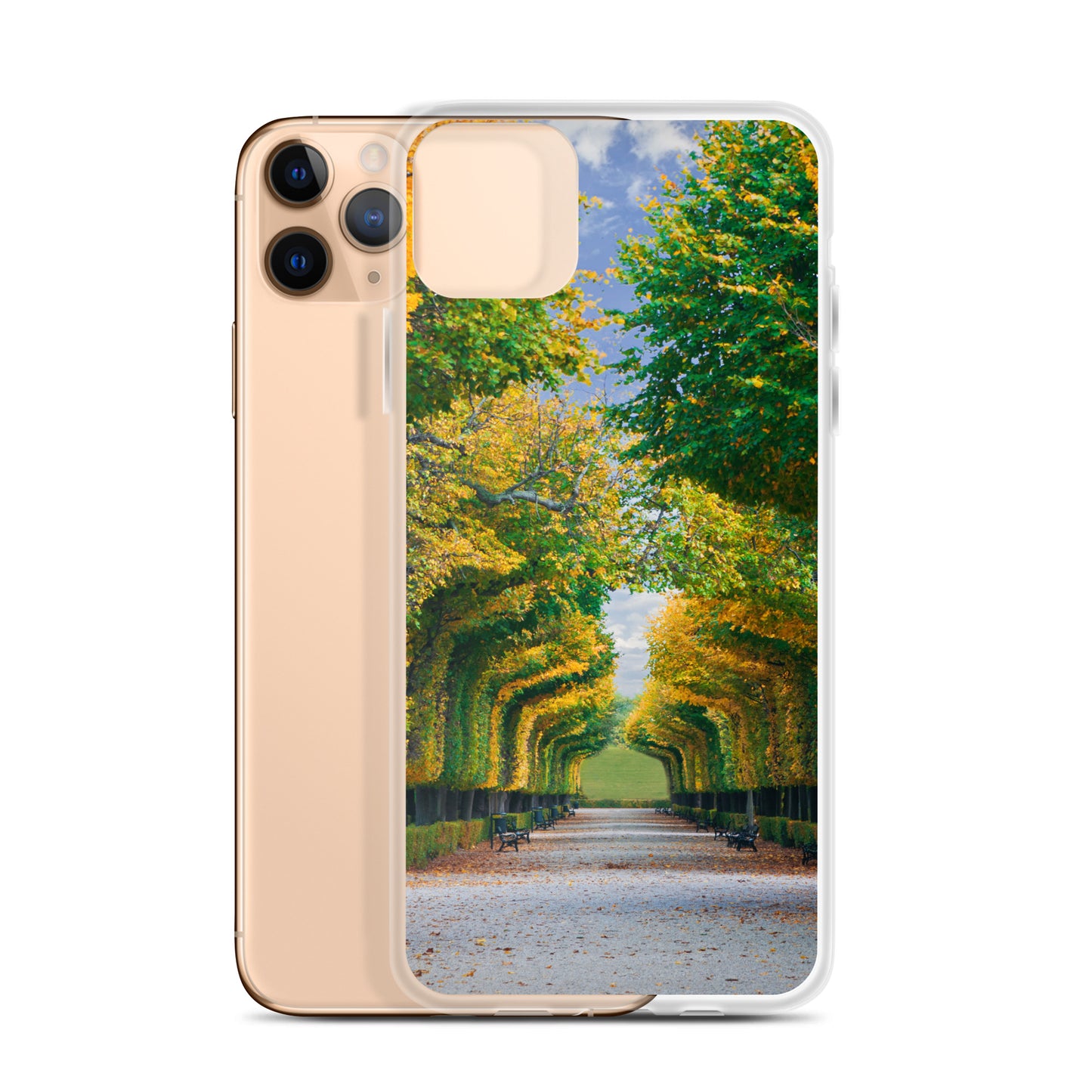 Fall Autumn Leaves Pathway iPhone Case