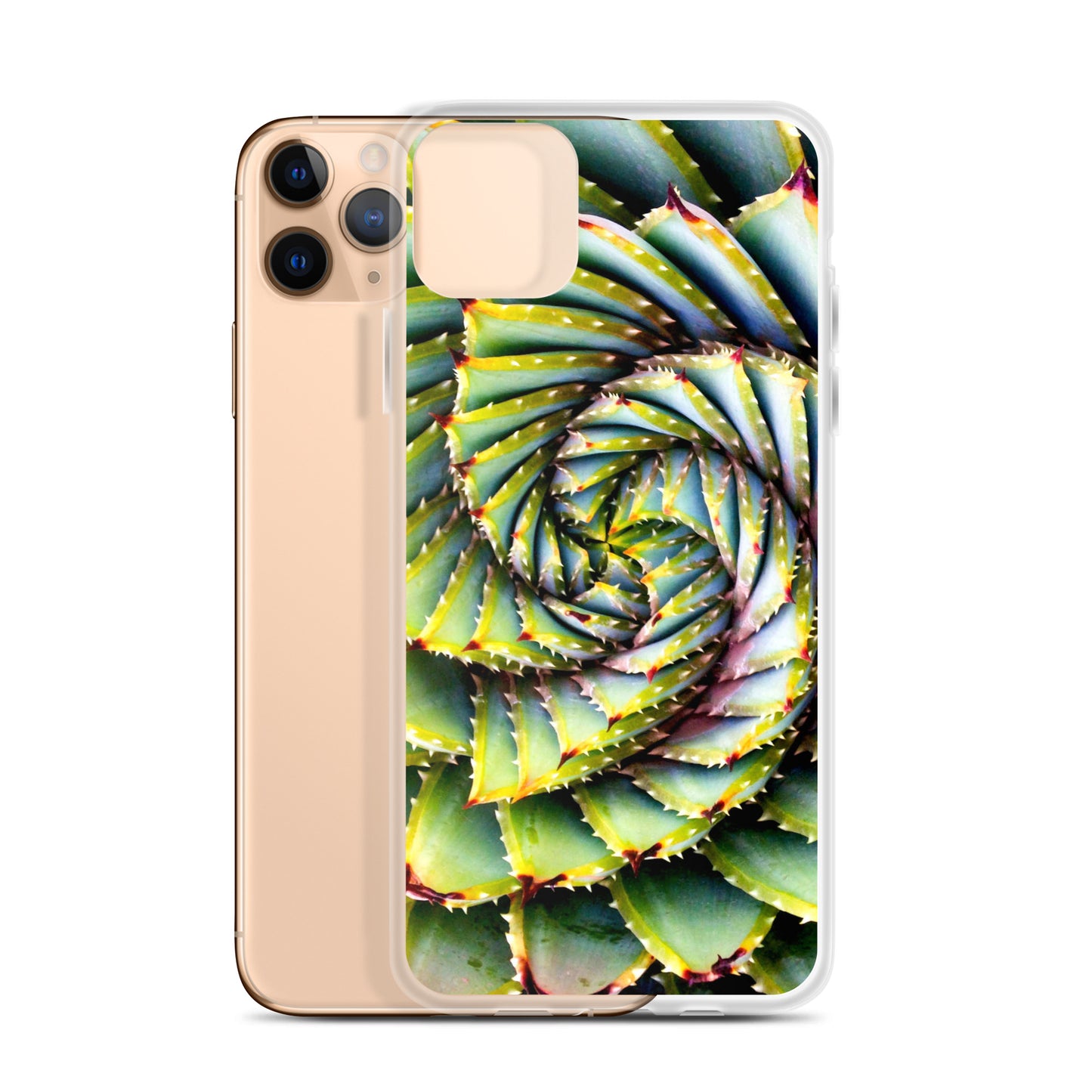 Spiral Succulent iPhone Case