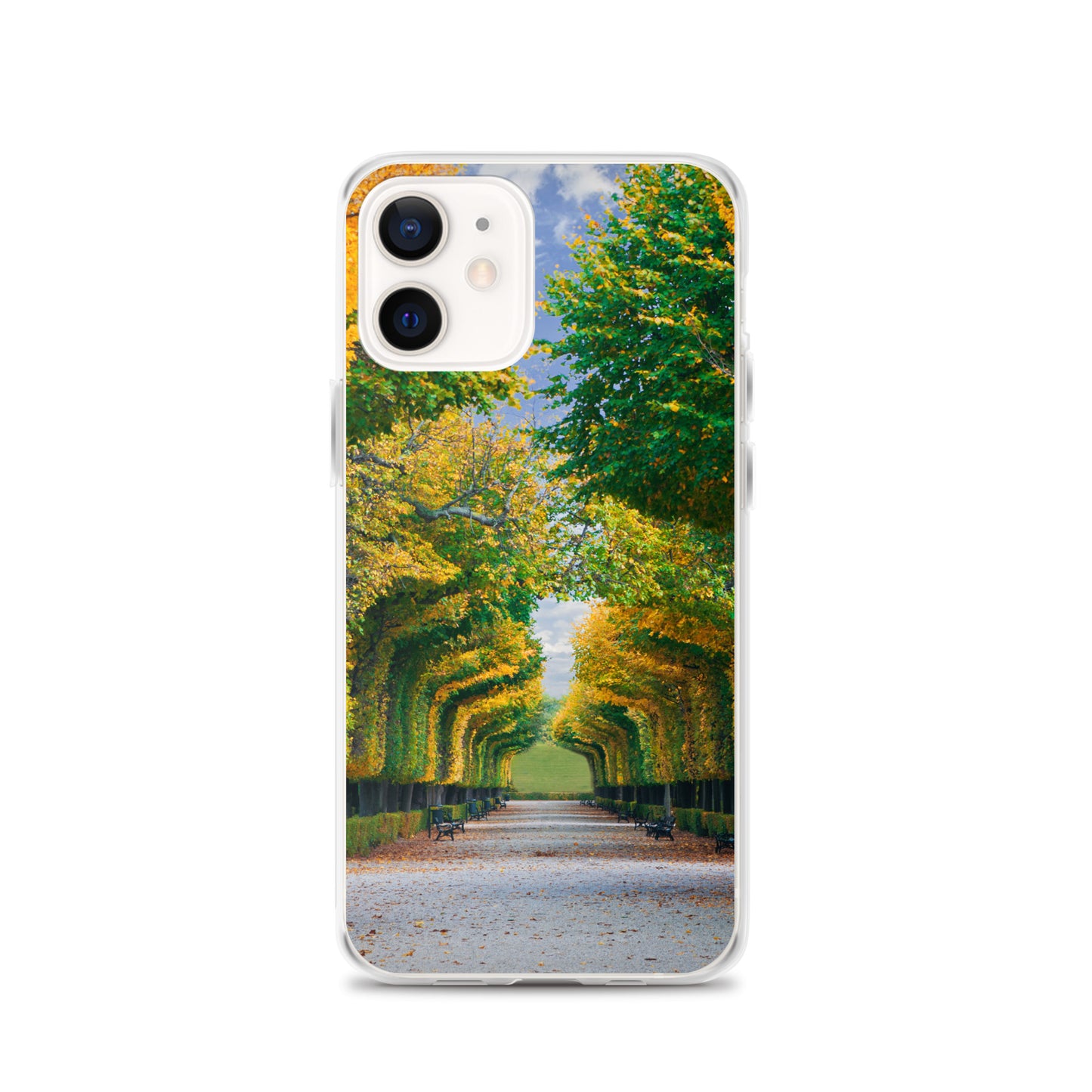 Fall Autumn Leaves Pathway iPhone Case