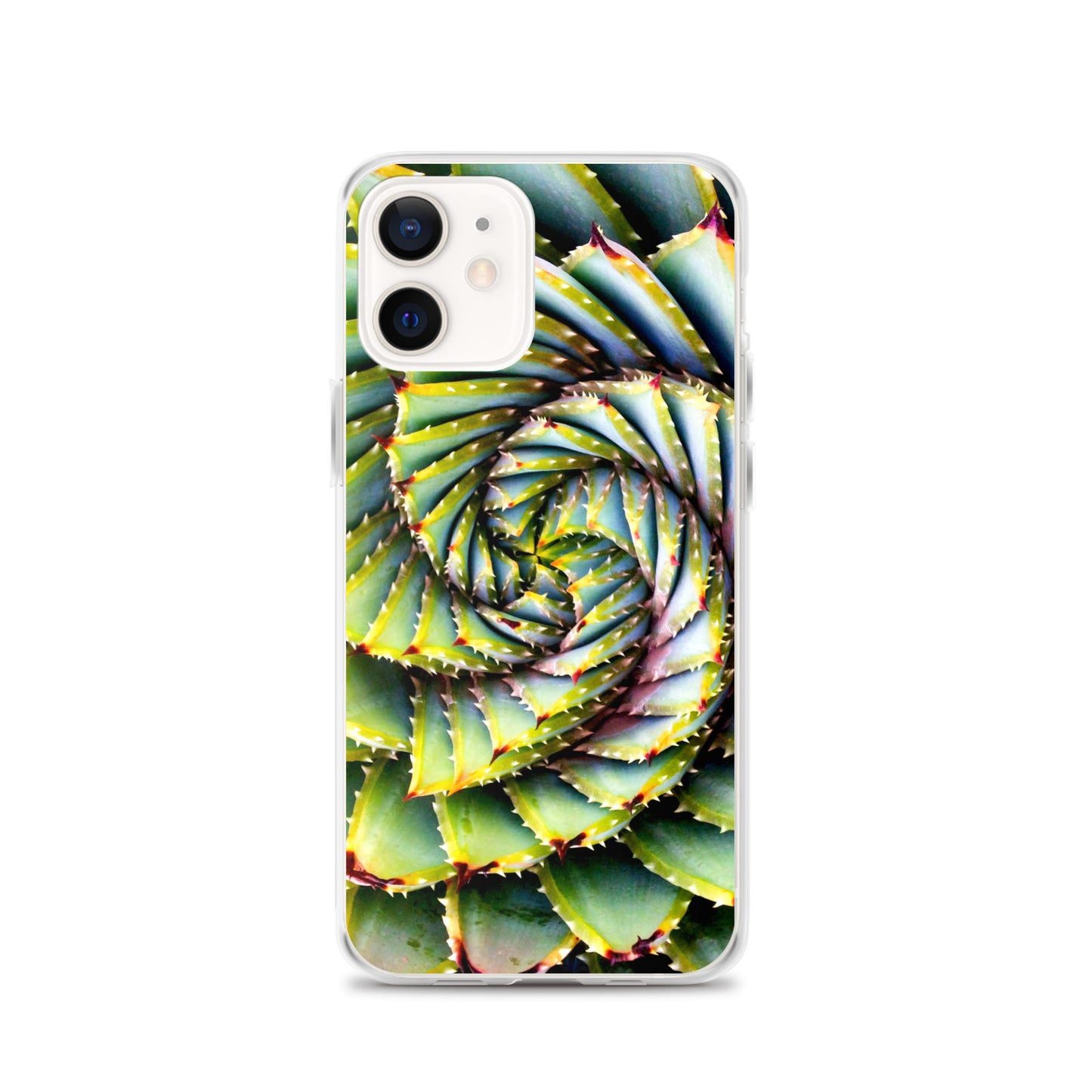 Spiral Succulent iPhone Case