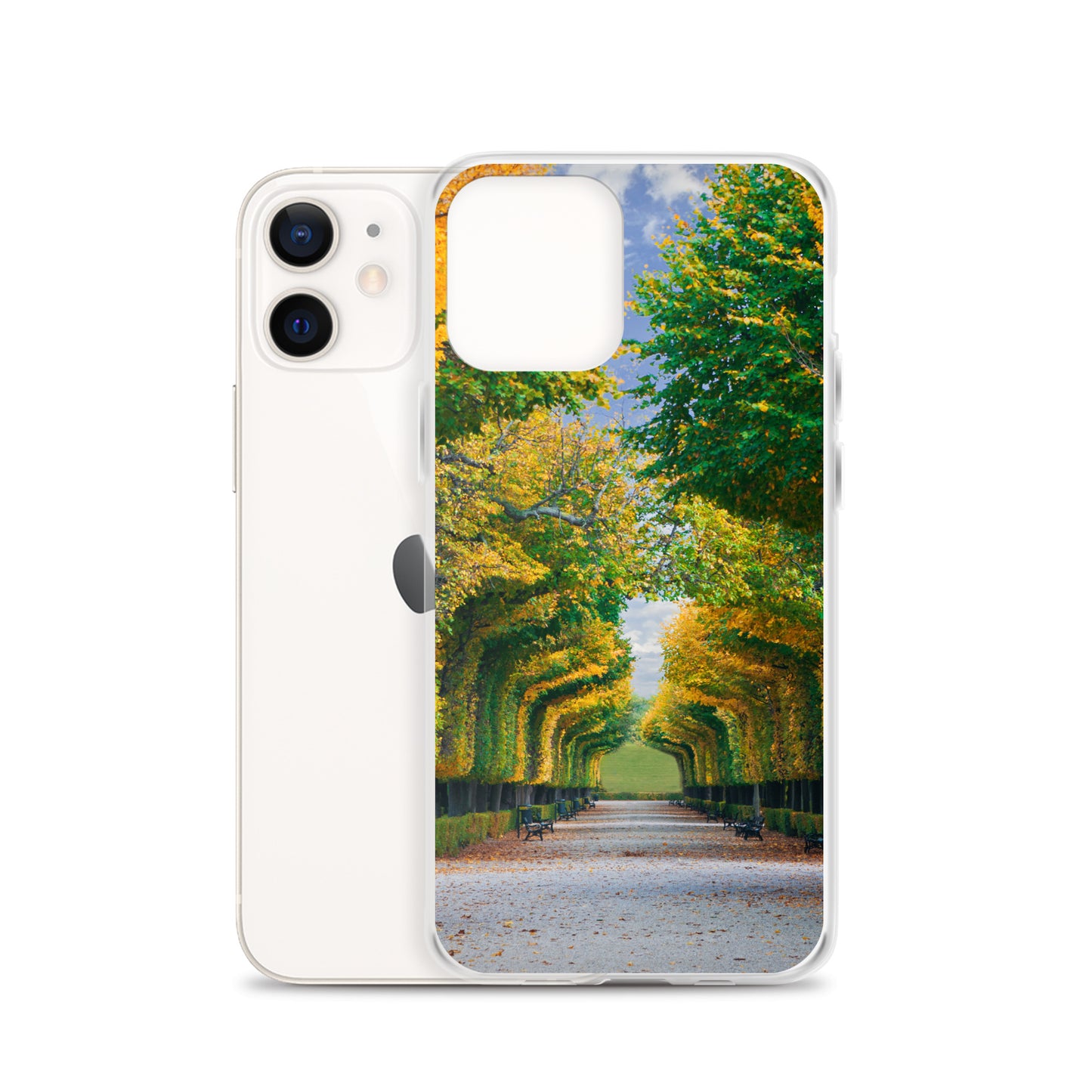 Fall Autumn Leaves Pathway iPhone Case