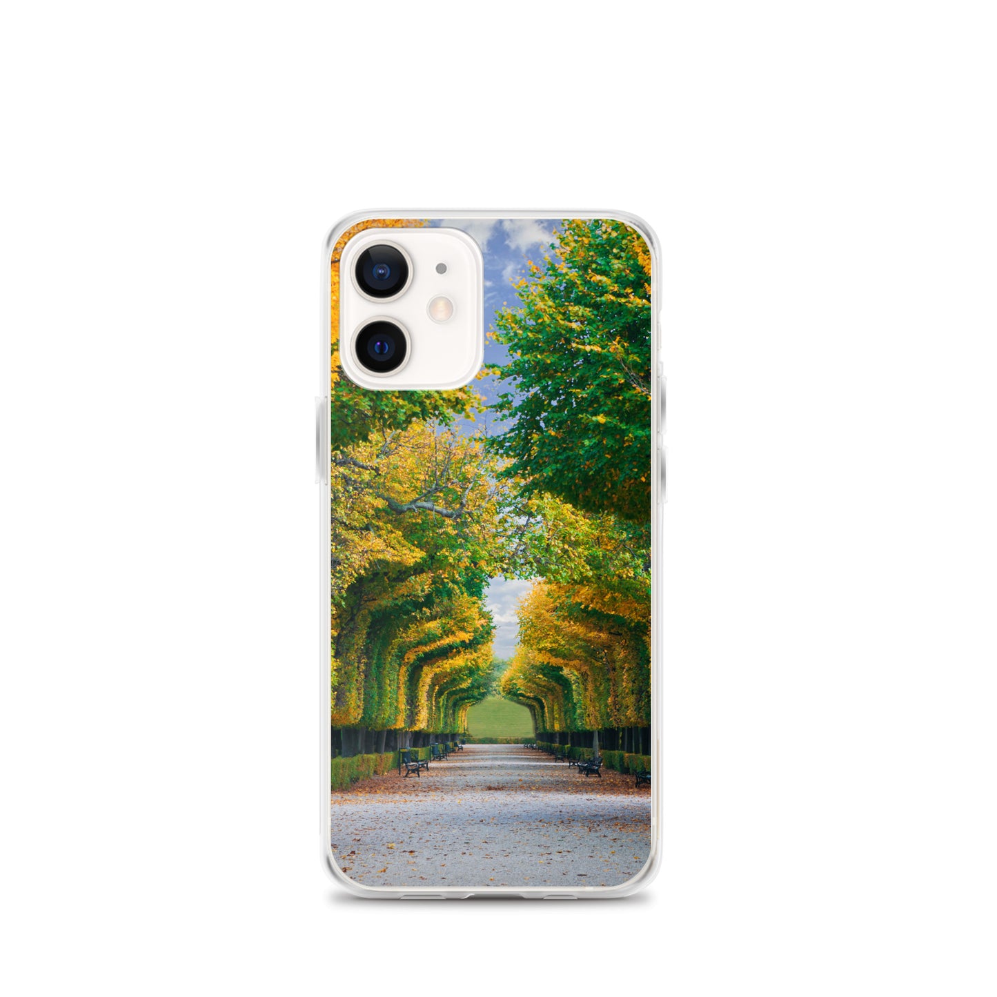 Fall Autumn Leaves Pathway iPhone Case