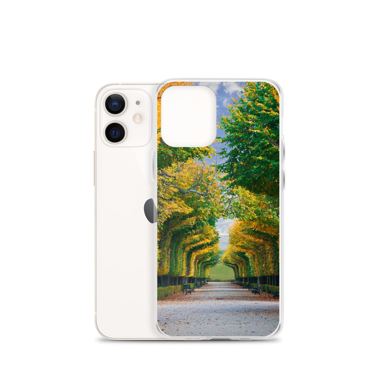 Fall Autumn Leaves Pathway iPhone Case