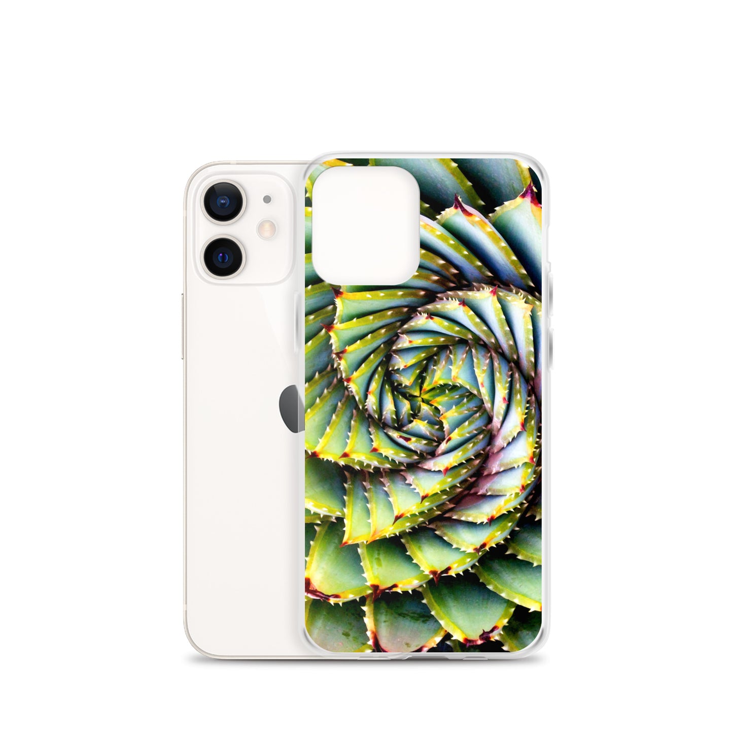 Spiral Succulent iPhone Case