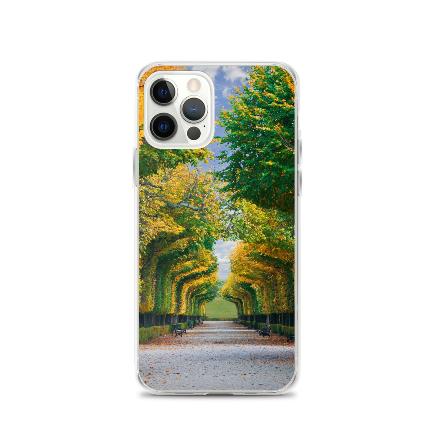 Fall Autumn Leaves Pathway iPhone Case