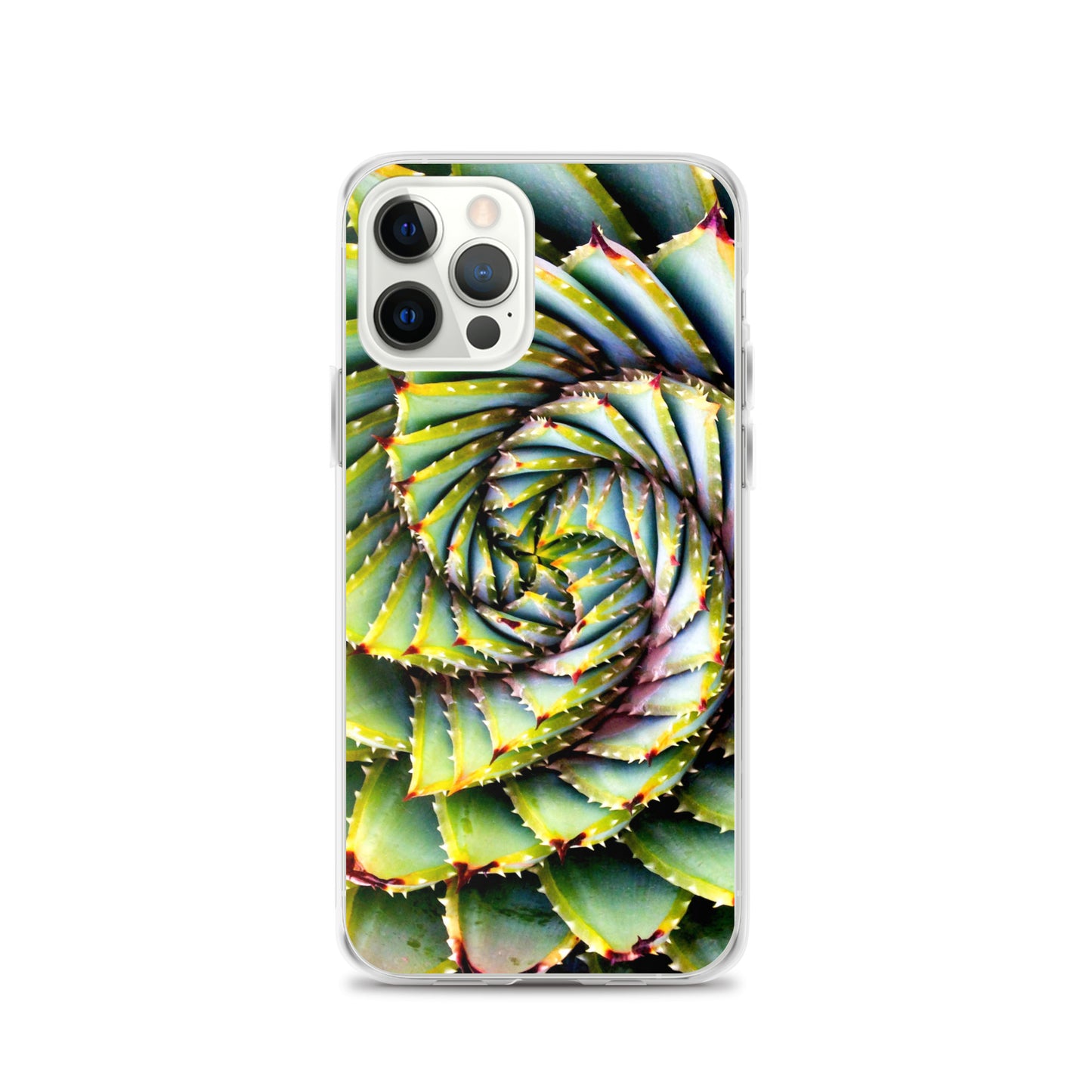 Spiral Succulent iPhone Case