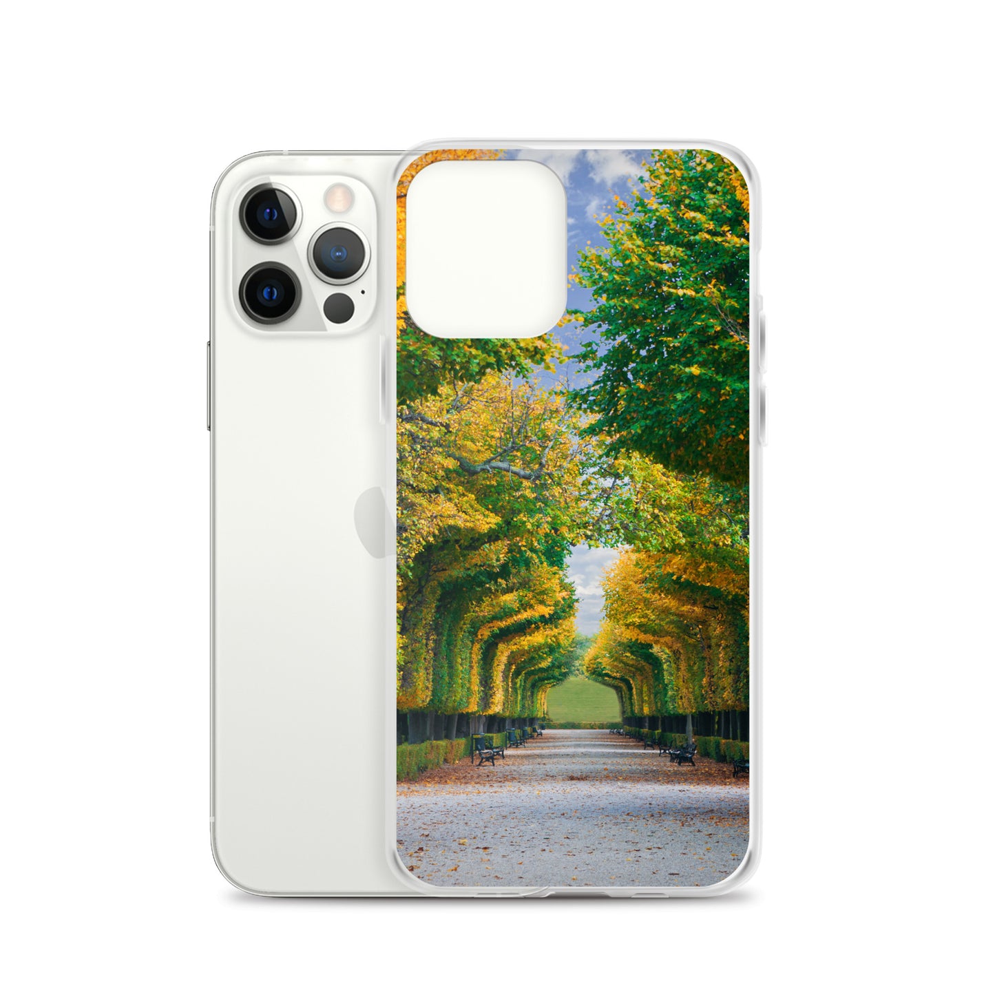 Fall Autumn Leaves Pathway iPhone Case