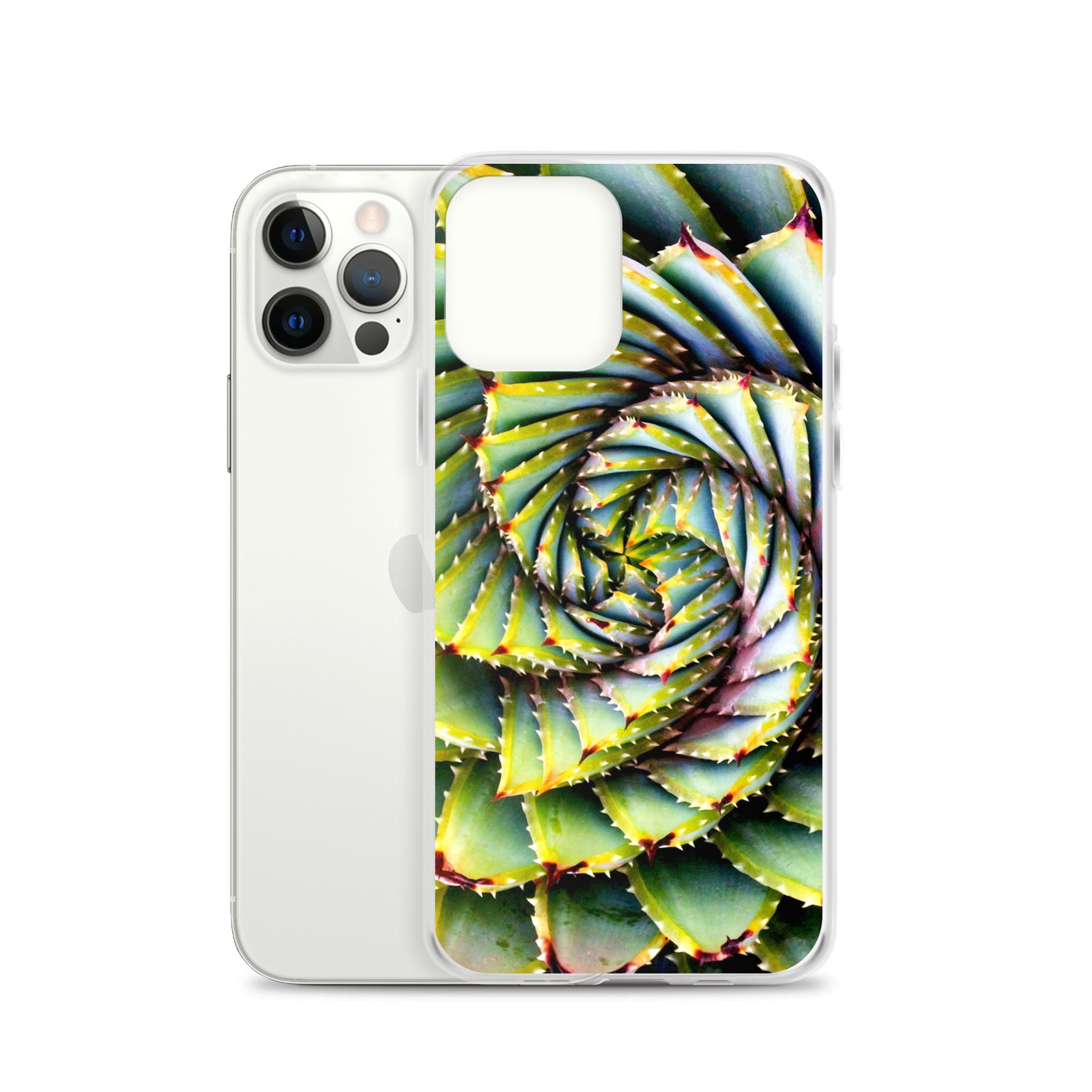 Spiral Succulent iPhone Case