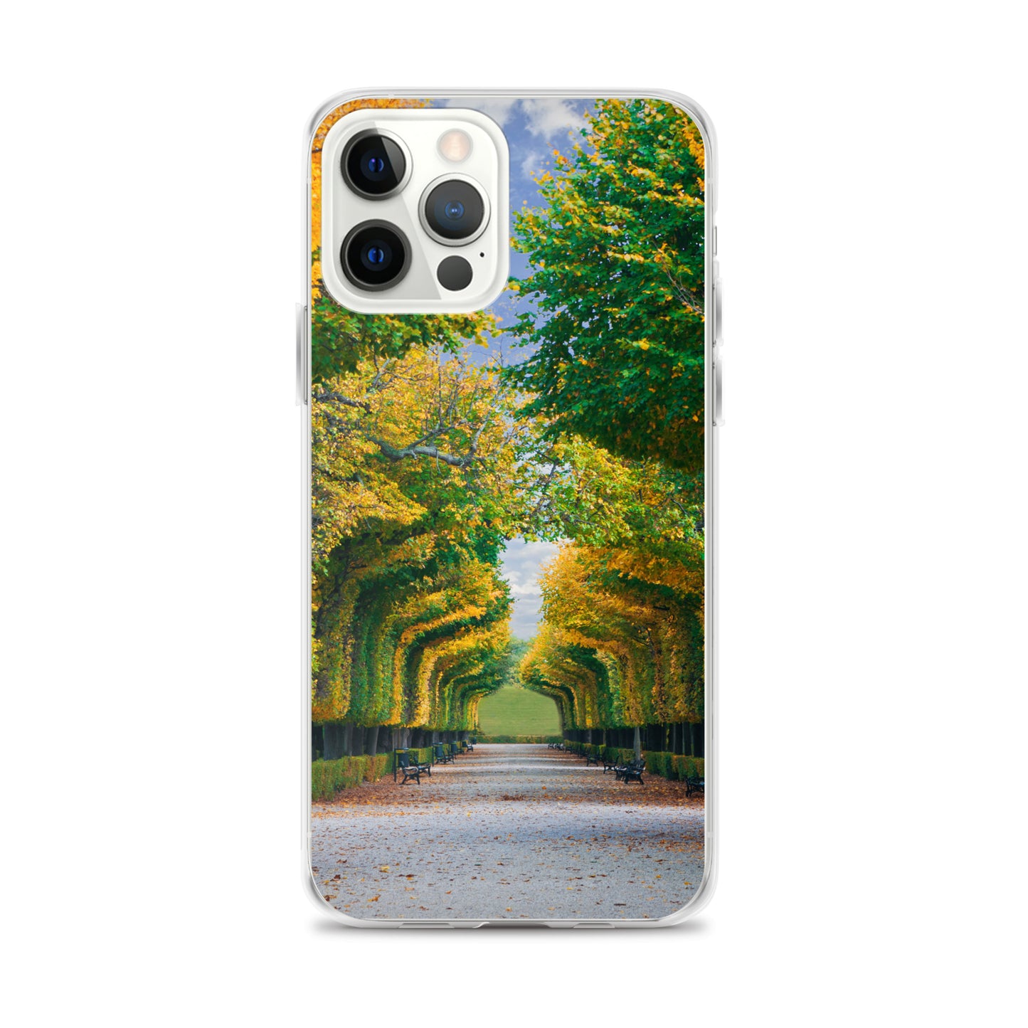 Fall Autumn Leaves Pathway iPhone Case