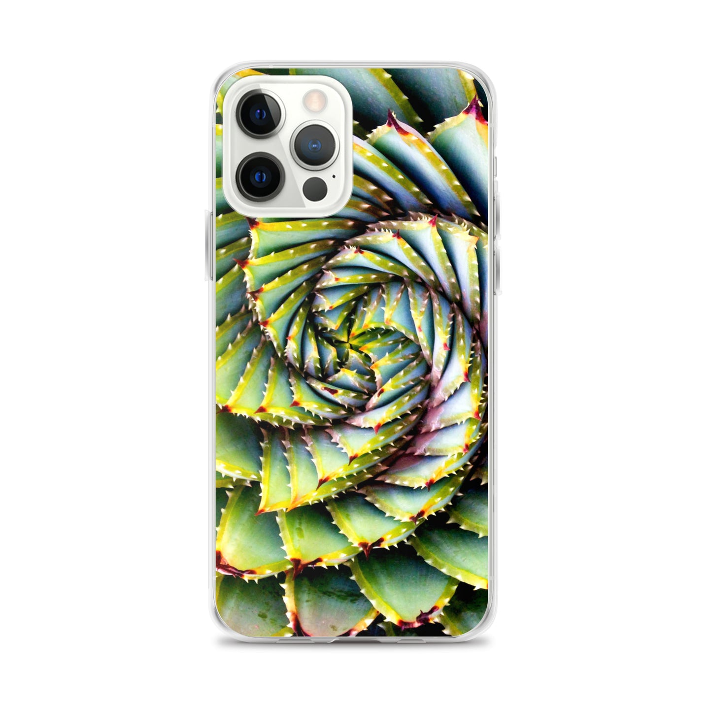 Spiral Succulent iPhone Case