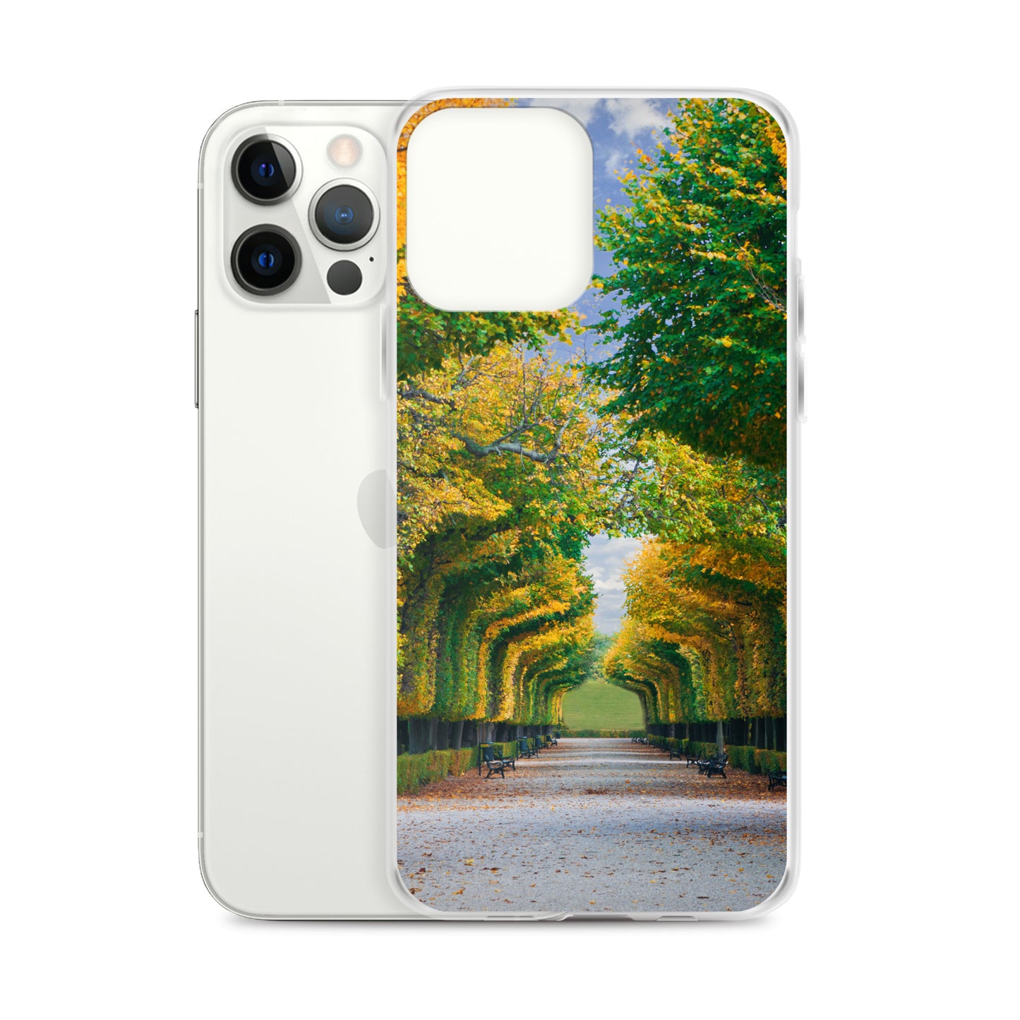 Fall Autumn Leaves Pathway iPhone Case