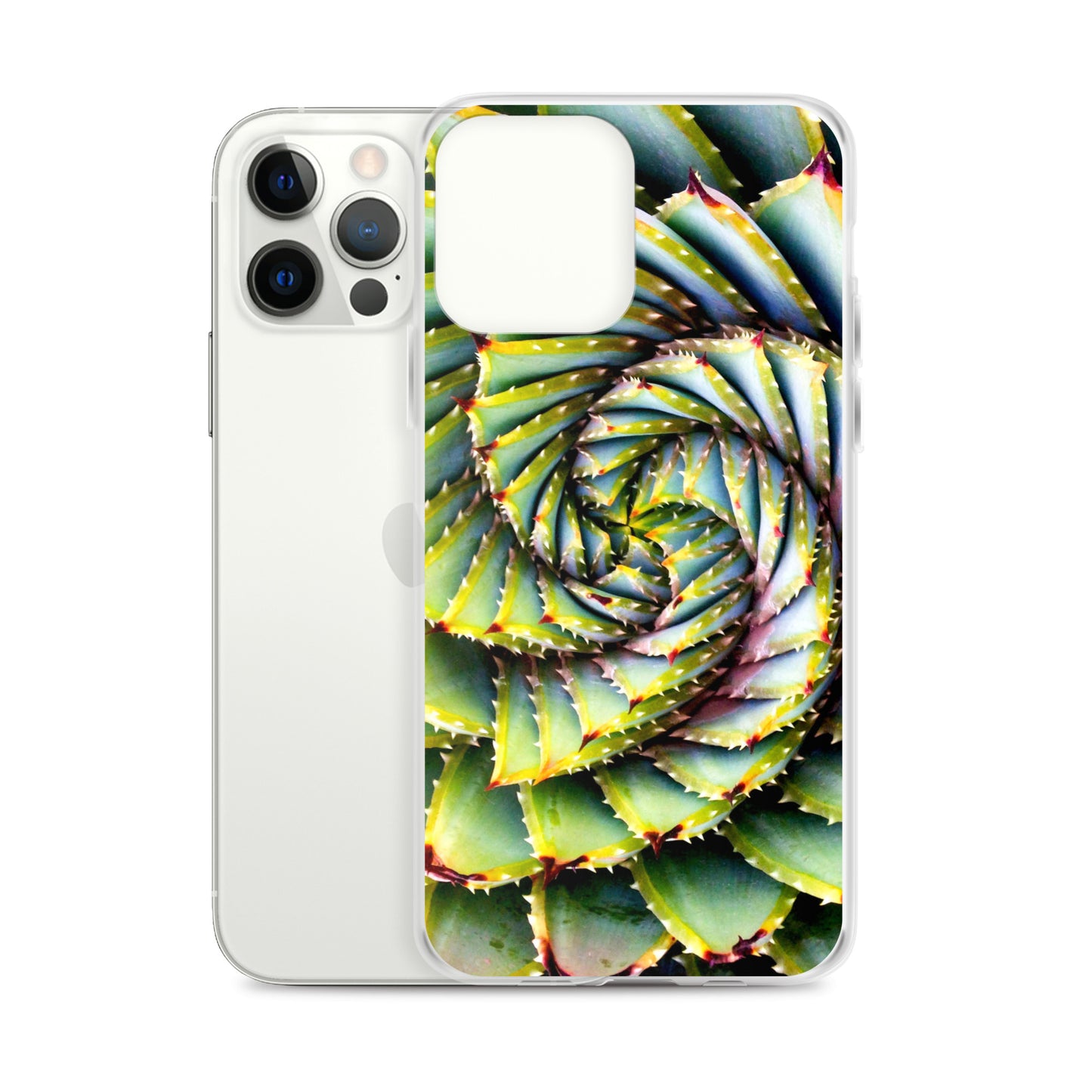 Spiral Succulent iPhone Case