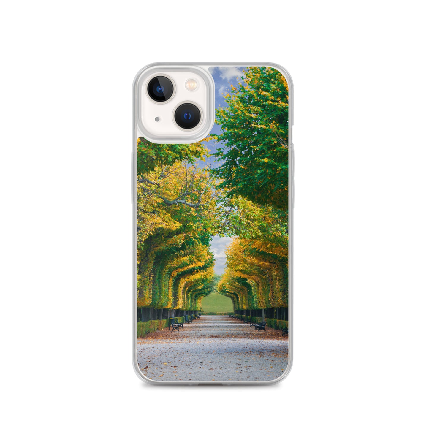 Fall Autumn Leaves Pathway iPhone Case