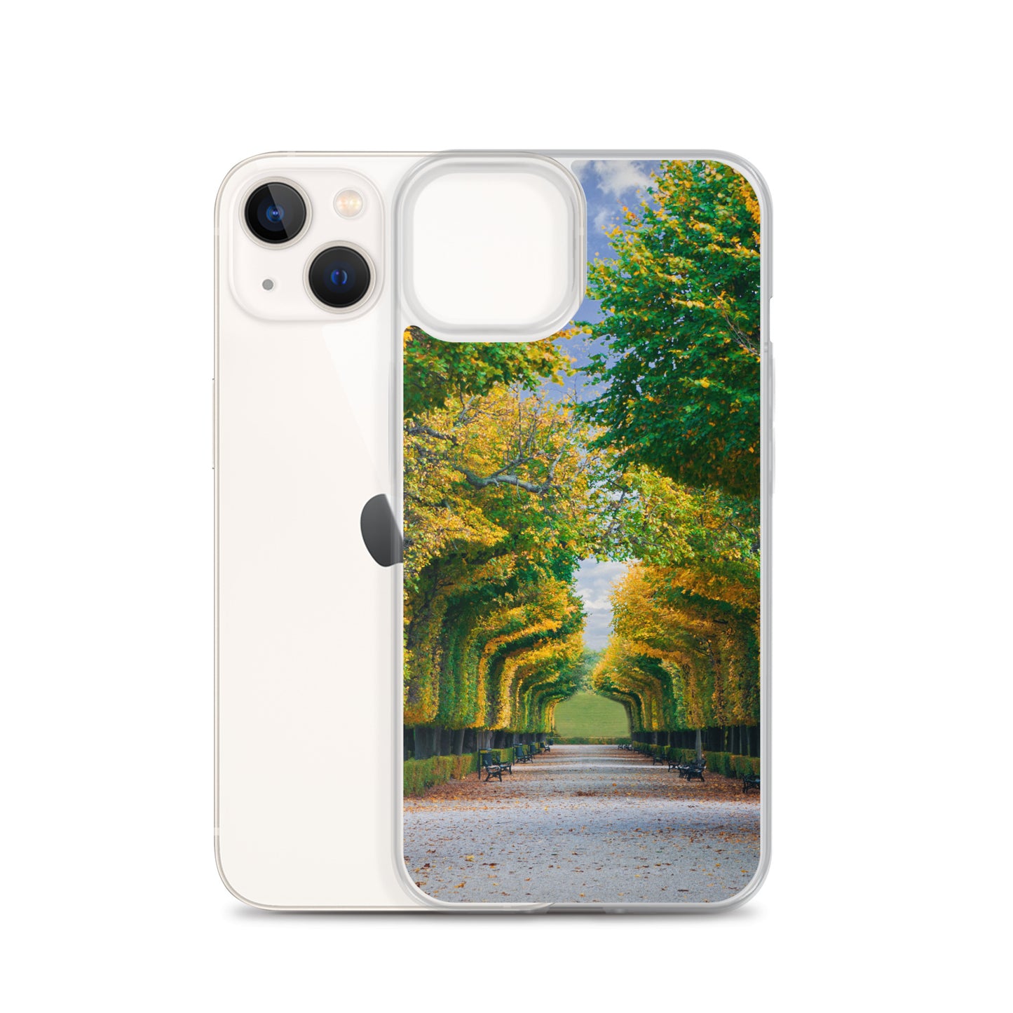 Fall Autumn Leaves Pathway iPhone Case