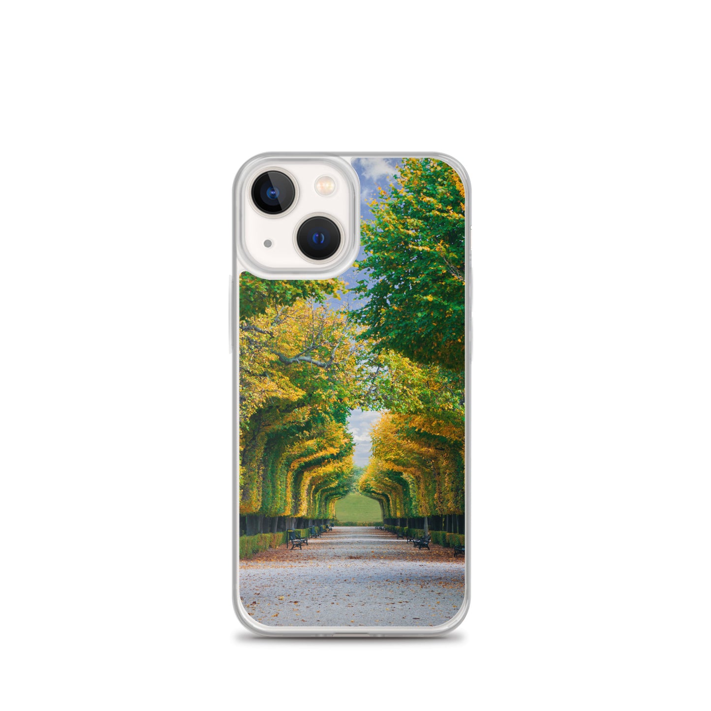 Fall Autumn Leaves Pathway iPhone Case