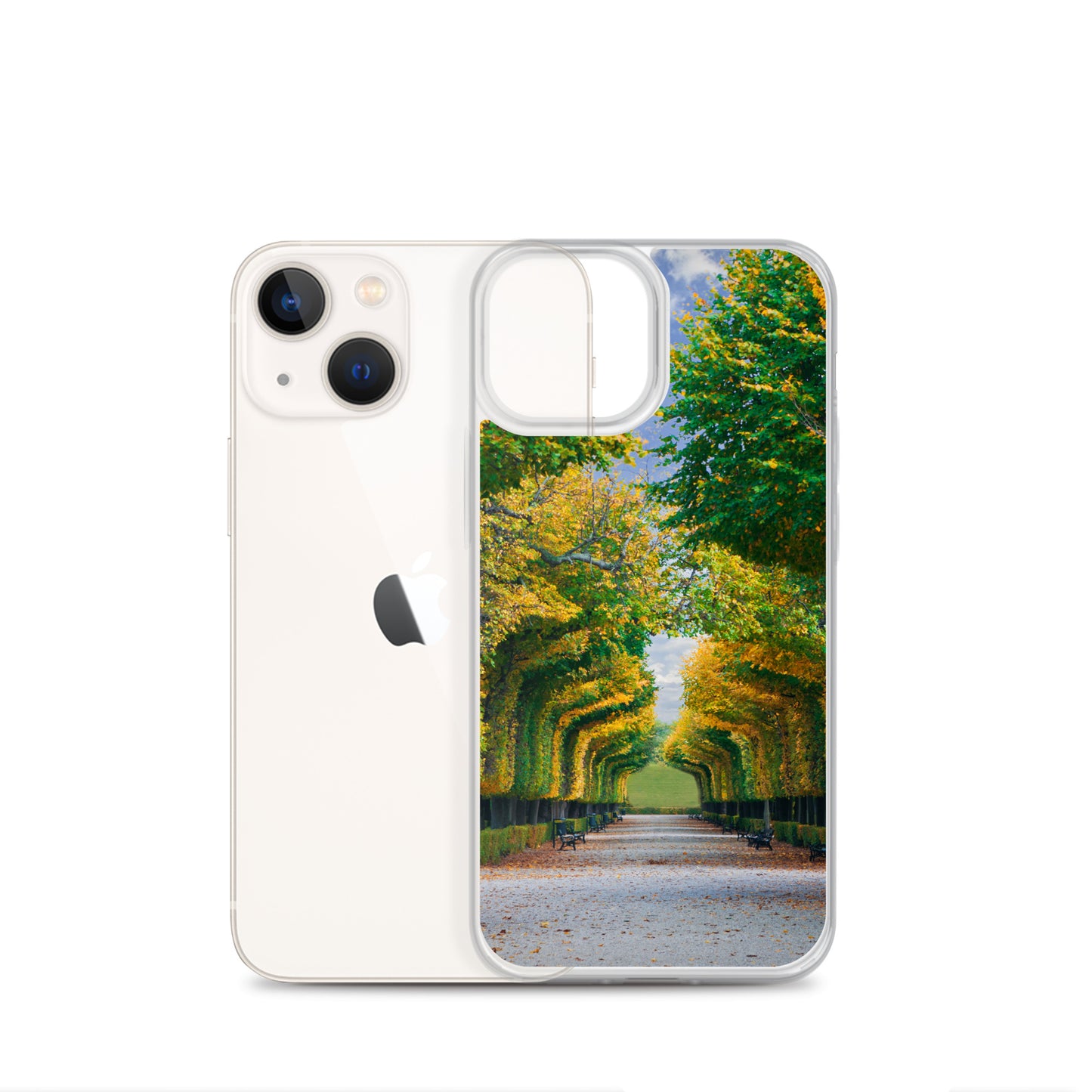 Fall Autumn Leaves Pathway iPhone Case