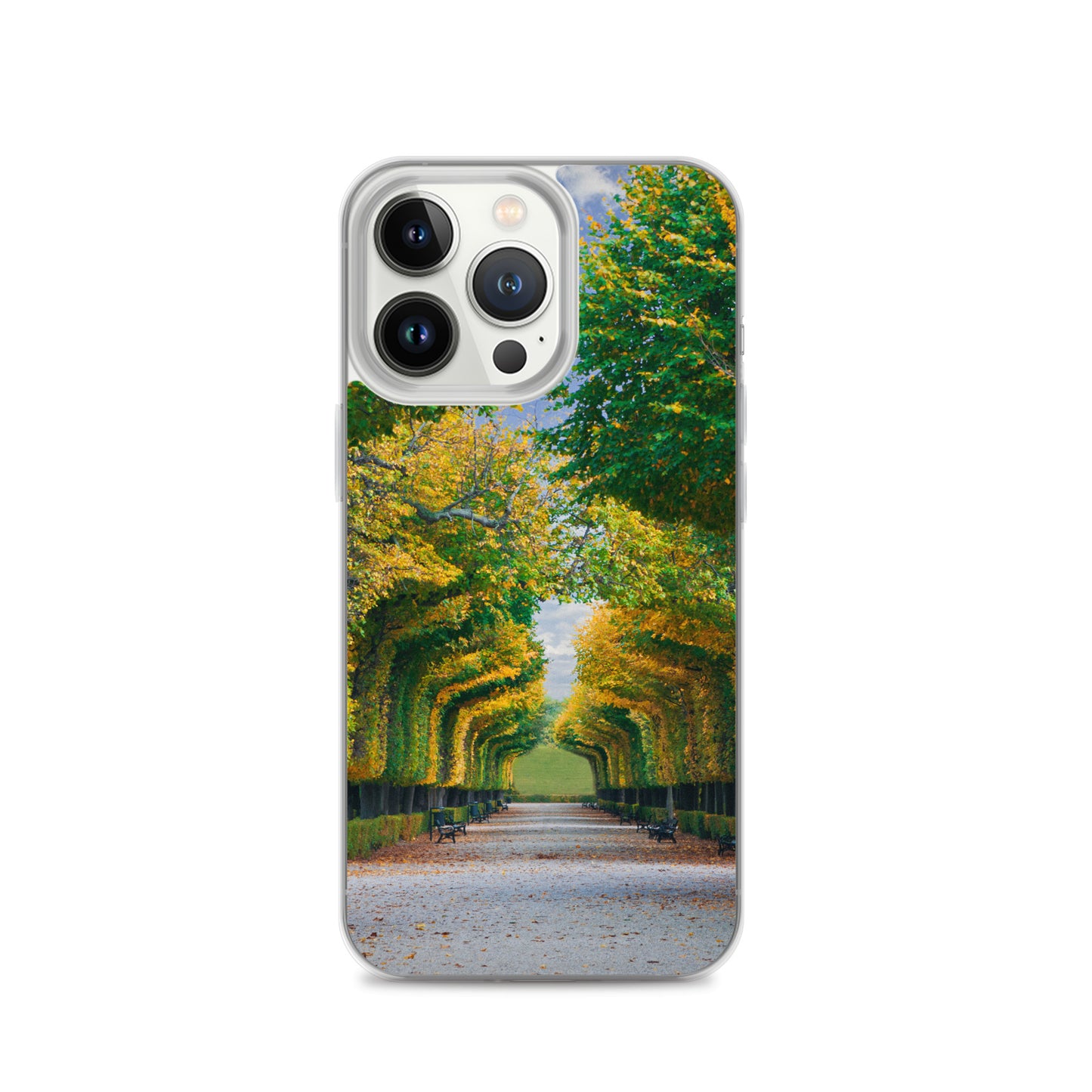 Fall Autumn Leaves Pathway iPhone Case