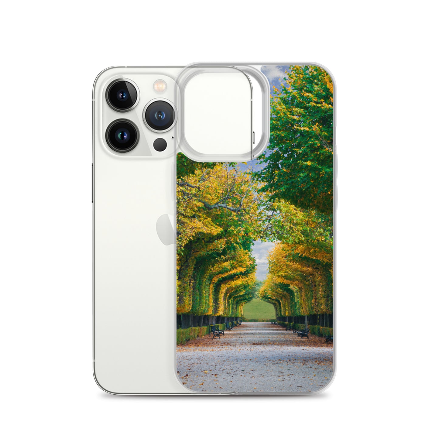 Fall Autumn Leaves Pathway iPhone Case