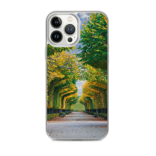 Fall Autumn Leaves Pathway iPhone Case