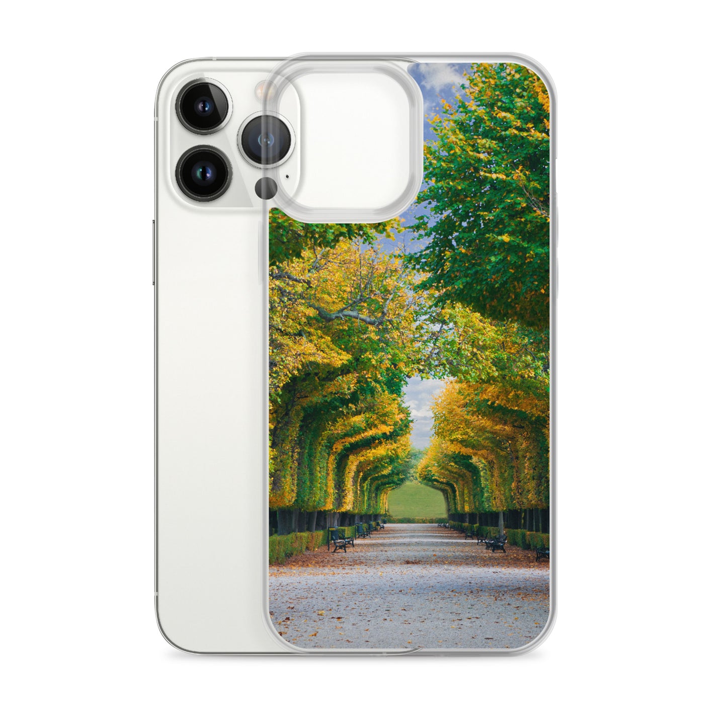 Fall Autumn Leaves Pathway iPhone Case