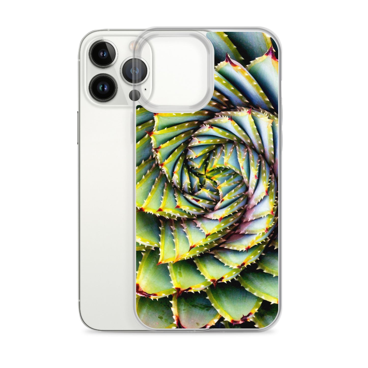 Spiral Succulent iPhone Case