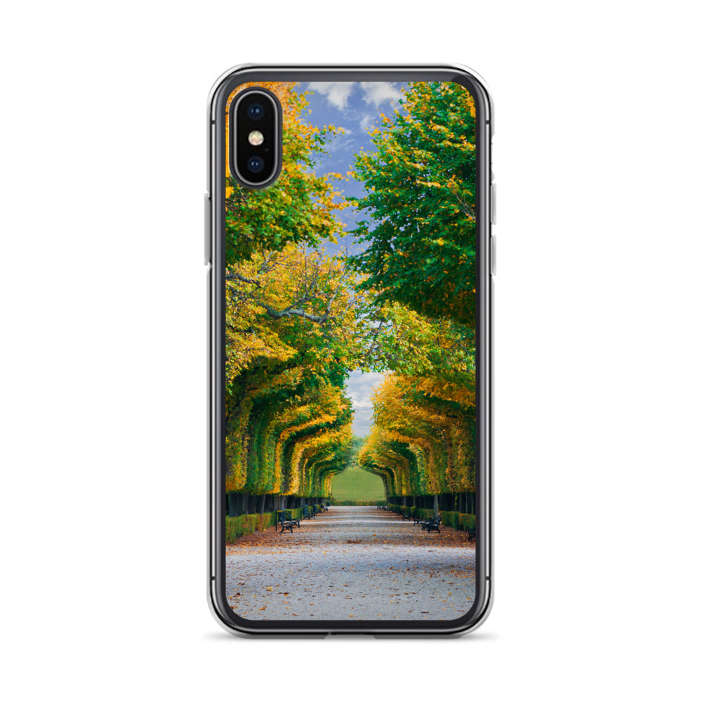 Fall Autumn Leaves Pathway iPhone Case