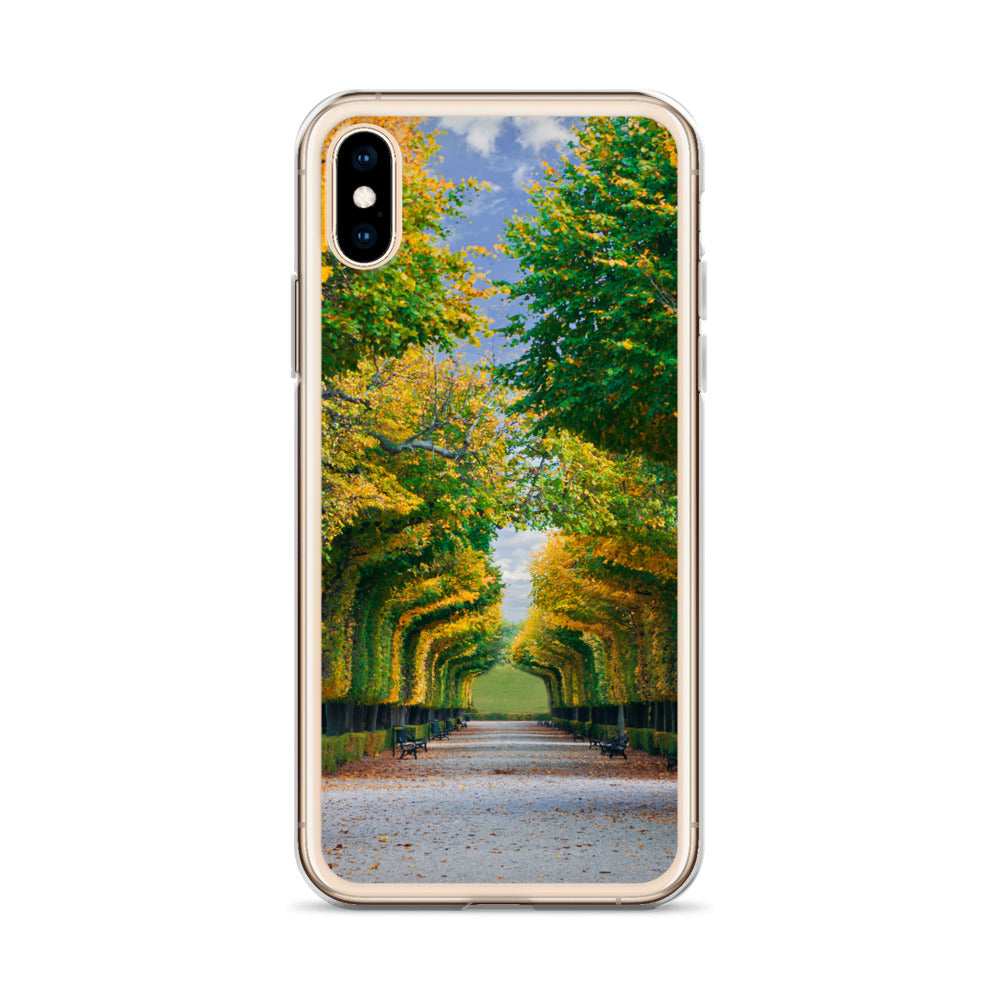 Fall Autumn Leaves Pathway iPhone Case