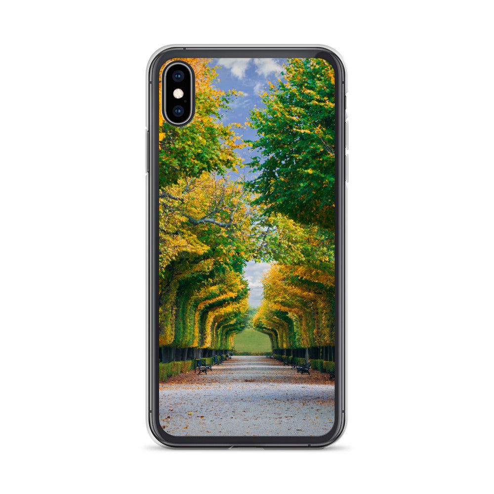 Fall Autumn Leaves Pathway iPhone Case