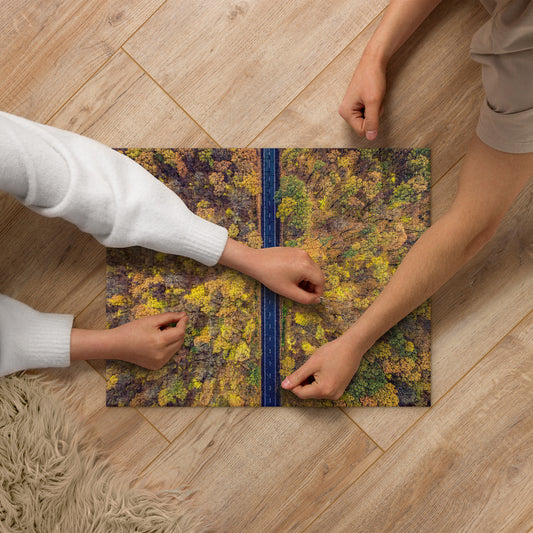 Road Through Fall Trees Jigsaw puzzle 520 piece